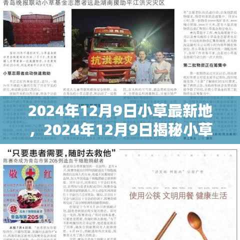 揭秘小草最新地，生态繁荣与科技创新的完美结合在行动（日期标注）