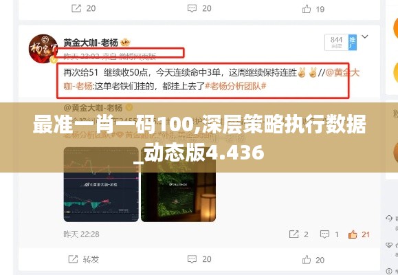 最准一肖一码100,深层策略执行数据_动态版4.436