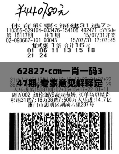 62827·c㎝一肖一码347期,专家意见解释定义_pro6.130