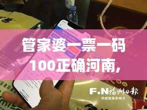 管家婆一票一码100正确河南,调整细节执行方案_Phablet8.144