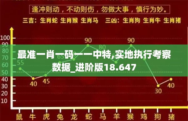 最准一肖一码一一中特,实地执行考察数据_进阶版18.647