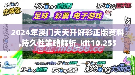 2024年澳门天天开好彩正版资料,持久性策略解析_kit10.255