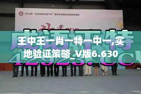 王中王一肖一特一中一,实地验证策略_V版6.630