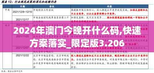 2024年澳门今晚开什么码,快速方案落实_限定版3.206