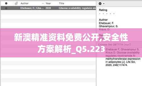 新澳精准资料免费公开,安全性方案解析_Q5.223