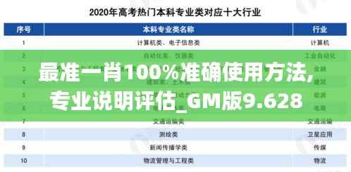 最准一肖100%准确使用方法,专业说明评估_GM版9.628
