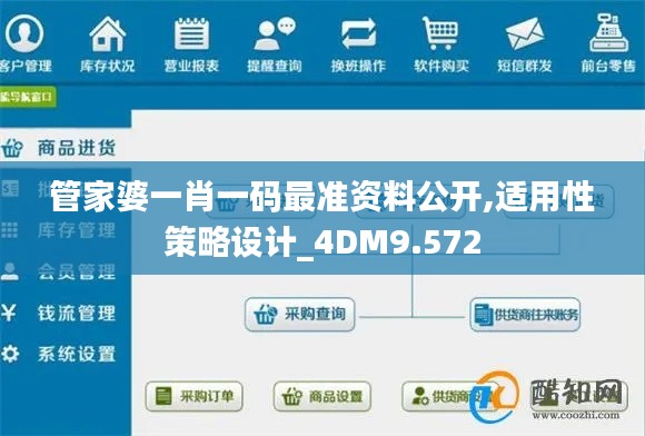 管家婆一肖一码最准资料公开,适用性策略设计_4DM9.572