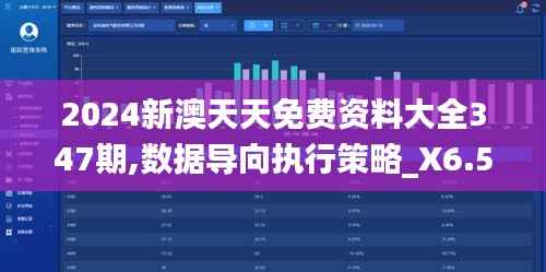 2024新澳天天免费资料大全347期,数据导向执行策略_X6.532