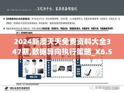 2024新澳天天免费资料大全347期,数据导向执行策略_X6.532