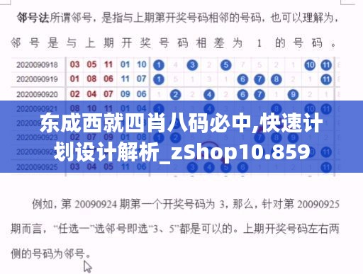 东成西就四肖八码必中,快速计划设计解析_zShop10.859