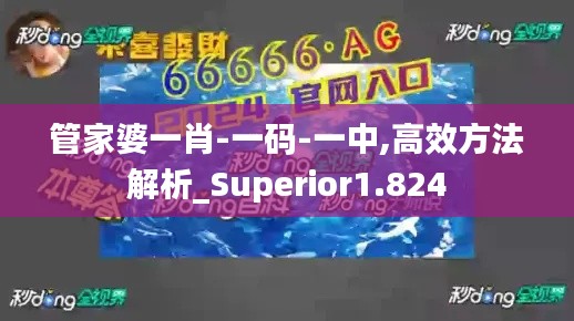 管家婆一肖-一码-一中,高效方法解析_Superior1.824