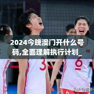 2024今晚澳门开什么号码,全面理解执行计划_Device6.585