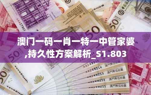 澳门一码一肖一特一中管家婆,持久性方案解析_S1.803