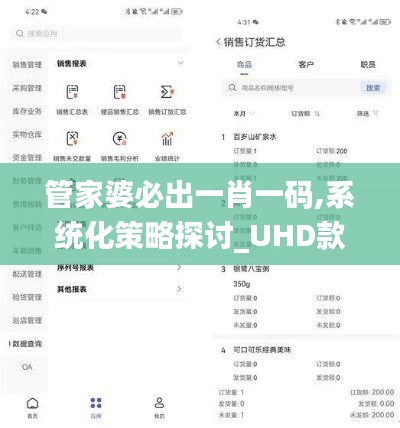 管家婆必出一肖一码,系统化策略探讨_UHD款3.914