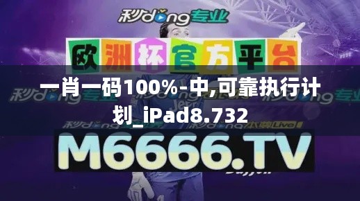 一肖一码100%-中,可靠执行计划_iPad8.732