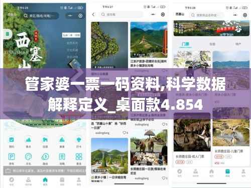 管家婆一票一码资料,科学数据解释定义_桌面款4.854