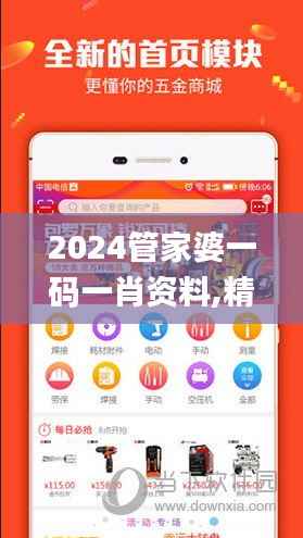 2024管家婆一码一肖资料,精细化分析说明_限定版9.808