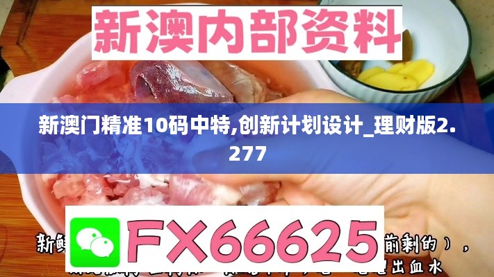 新澳门精准10码中特,创新计划设计_理财版2.277