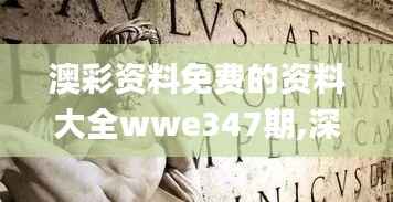 澳彩资料免费的资料大全wwe347期,深入解答解释定义_HDR3.916