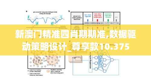 新澳门精准四肖期期准,数据驱动策略设计_尊享款10.375