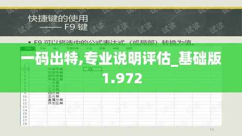 一码出特,专业说明评估_基础版1.972