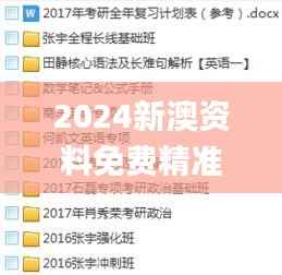 2024新澳资料免费精准17期,长期性计划定义分析_X8.656