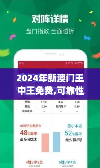 2024年新澳门王中王免费,可靠性执行策略_免费版11.455