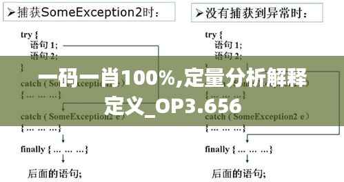 一码一肖100%,定量分析解释定义_OP3.656