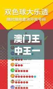 澳门王中王一肖一特一中,快速计划设计解析_7DM16.666