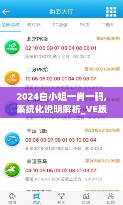 2024白小姐一肖一码,系统化说明解析_VE版7.489