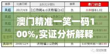 澳门精准一笑一码100%,实证分析解释定义_经典版9.295