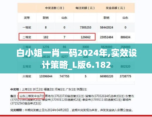 白小姐一肖一码2024年,实效设计策略_L版6.182