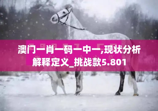 澳门一肖一码一中一,现状分析解释定义_挑战款5.801