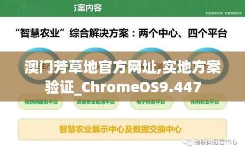 澳门芳草地官方网址,实地方案验证_ChromeOS9.447