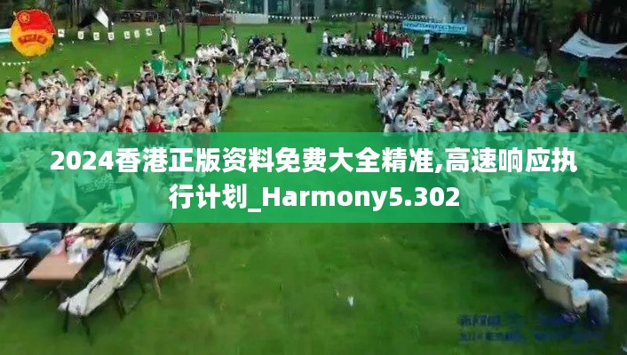 2024香港正版资料免费大全精准,高速响应执行计划_Harmony5.302
