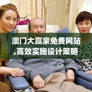 澳门大赢家免费网站,高效实施设计策略_9DM5.133