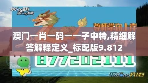 澳门一肖一码一一子中特,精细解答解释定义_标配版9.812