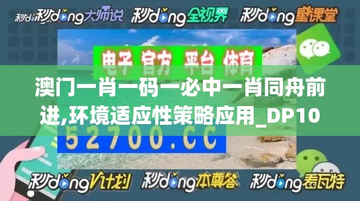 澳门一肖一码一必中一肖同舟前进,环境适应性策略应用_DP10.433