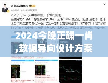 2024今晚正确一肖,数据导向设计方案_精英款9.532