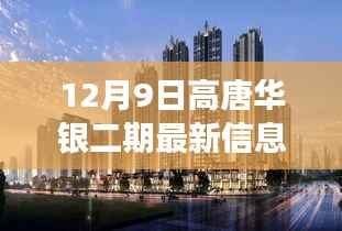 揭秘高唐华银二期最新进展，深度解读最新动态（12月9日更新）