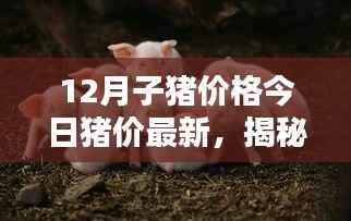揭秘最新行情，今日猪价走势及未来趋势预测，子猪价格一览无余
