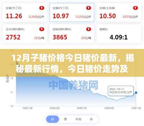 揭秘最新行情,今日猪价走势及未来趋势预测,子猪价格一览无余