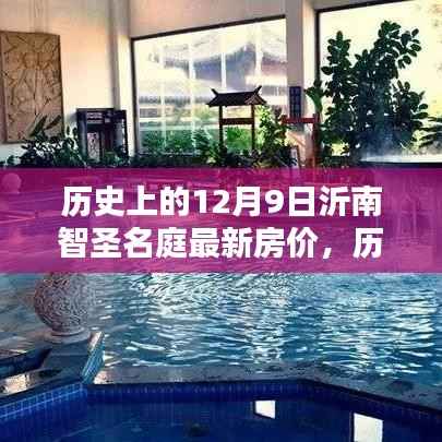 沂南智圣名庭房价动态，历史走势分析与最新房价探讨