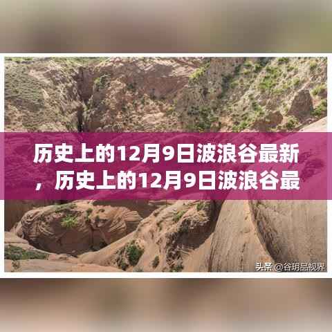 揭秘历史中的波浪谷，自然奇观壮丽演变探索（最新揭秘）