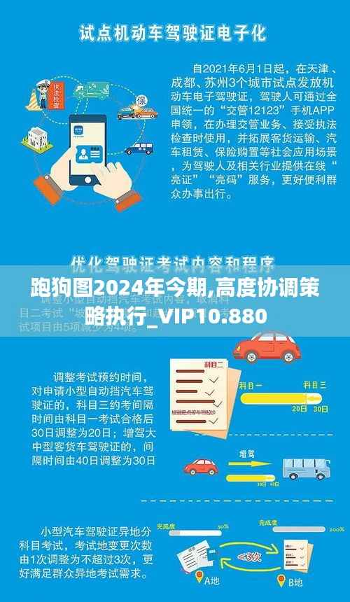 跑狗图2024年今期,高度协调策略执行_VIP10.880