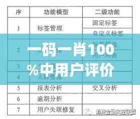 一码一肖100%中用户评价,重要性解释落实方法_10DM12.526