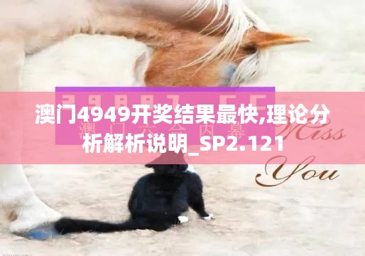 澳门4949开奖结果最快,理论分析解析说明_SP2.121
