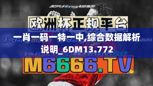 一肖一码一特一中,综合数据解析说明_6DM13.772