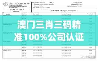澳门三肖三码精准100%公司认证,深度评估解析说明_Executive14.254