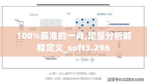100%最准的一肖,定量分析解释定义_soft3.296